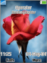 red flower