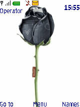 levisdenim