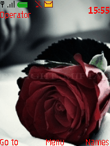 flower2