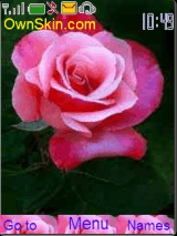 rose_rubel