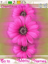 ✦✦Animated pink Flowers✦✦