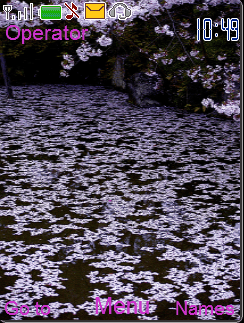 sakura