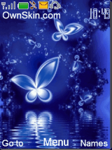 blue shiny butterfly