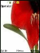 çiçekler