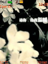 非主流