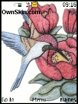 Flybird