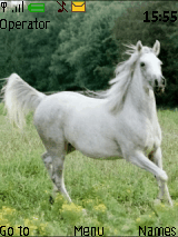 King Of Horses