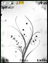 ابيض اسود