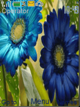 blue flower