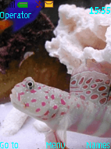 海洋生物    