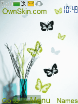 Butterfly