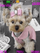 funny n cute