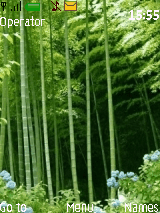 竹