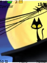 黑色小猫