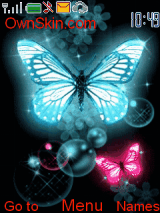 Buterfly