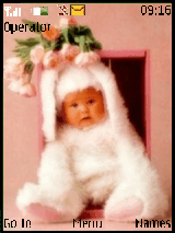 buny