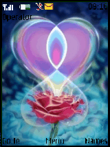 rose love