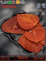 Autum Leave