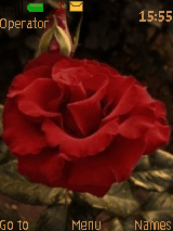 Rose red 