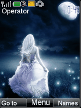 Chasing Fireflies