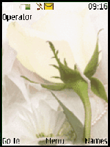 animated rose