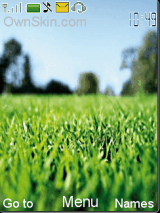 grass