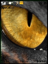 eyes