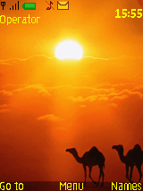 camel