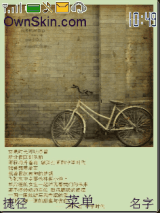 你的忧伤