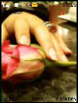 FLOWER