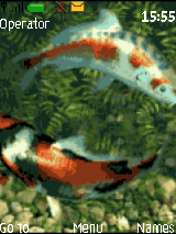 Fich