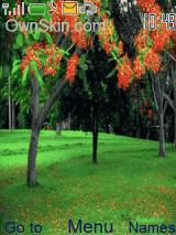 manzara