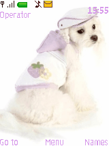 cute dogs