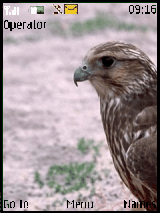 عصفور ^^