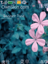 ＰＩＮＫ　ＦＬＯＷＥＲ