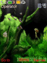 aquarium