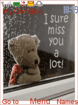 teddy bear