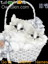 Animated Cats