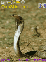 snake1