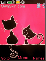 cute cat