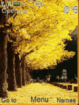 Autumn In Korea