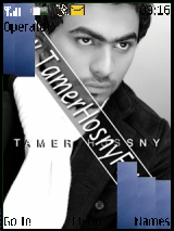 tamer