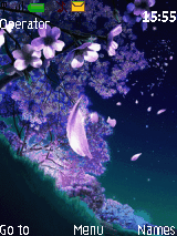 花蝶