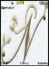 N