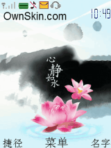 心静如水-修