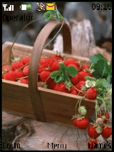 strawberry