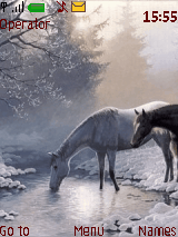 horse