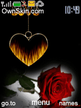 flower_heart _love