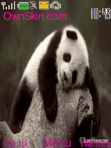 panda i love