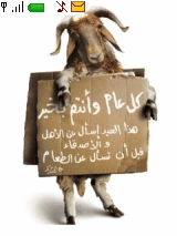 islamsaad